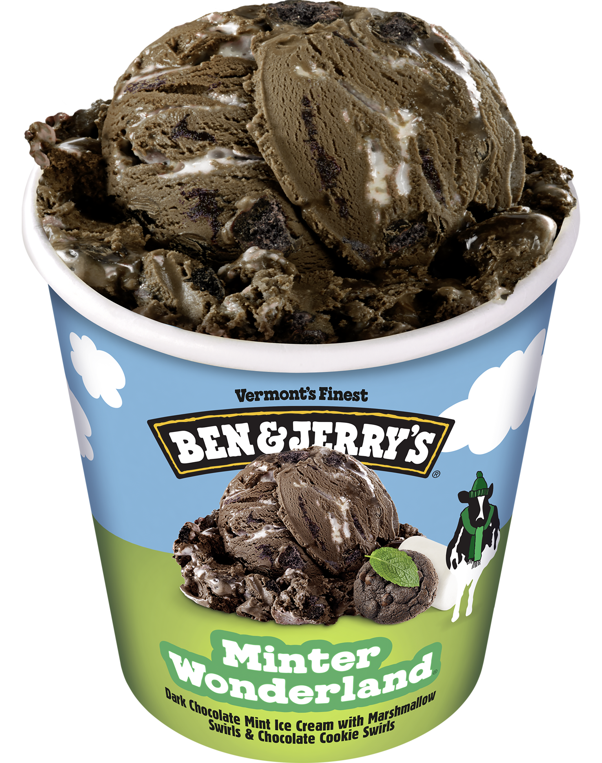 Ben and outlet jerry's mint